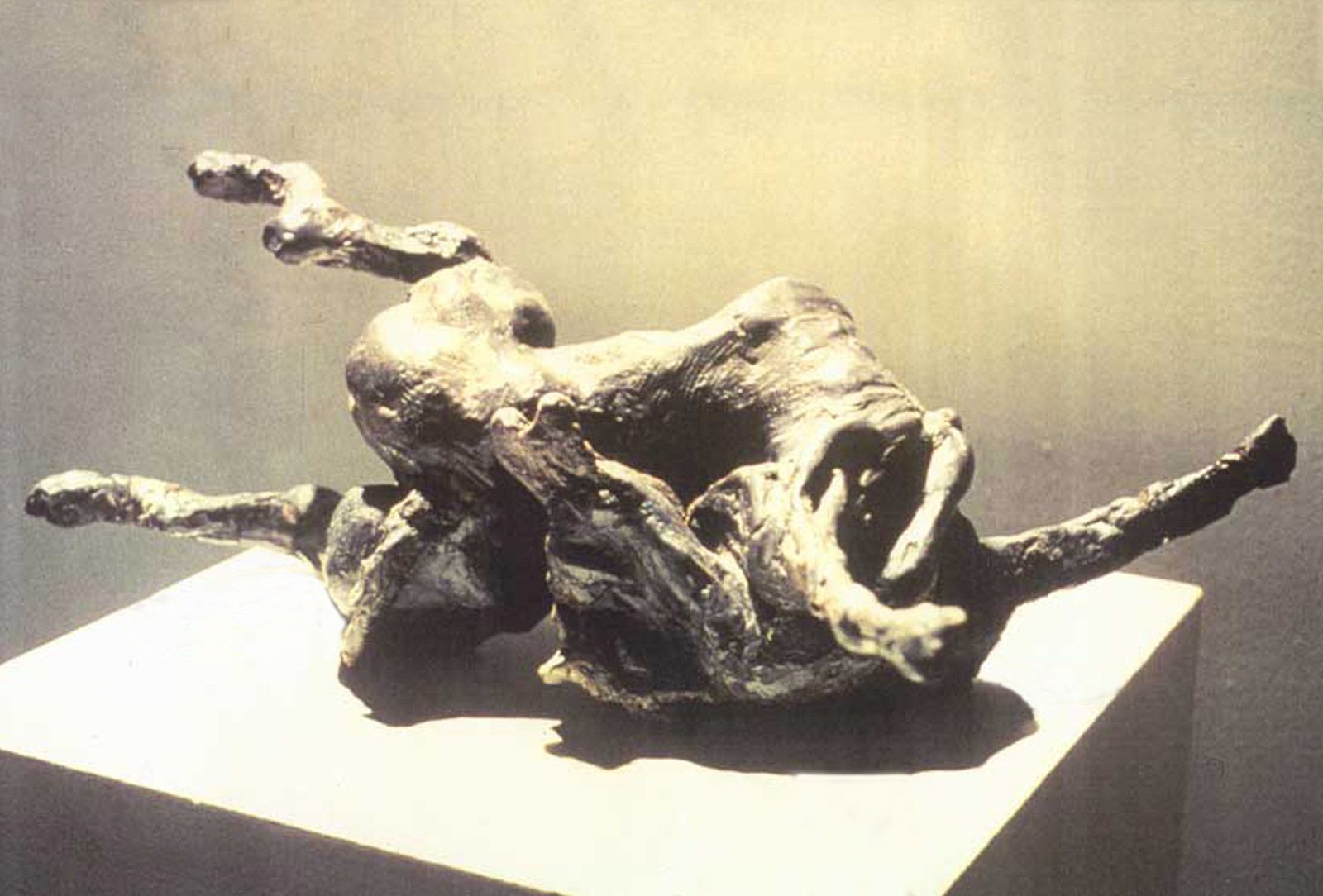 La transformation du Shakti   Bronze     Le Mans (72)